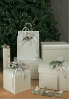 SCAT. 1 BOTTIGLIA PELLE BIANCO 34X9X9 CANTINETTA