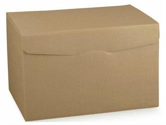 SCAT. SEGRETO AVANA     460X320X290