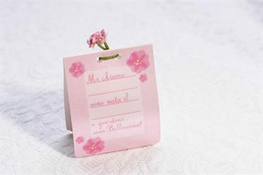 SCAT. CORNICETTA  BABY  GIRL