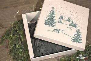 SCAT. PORTAPANETTONE CM.20X20X18 CHALET