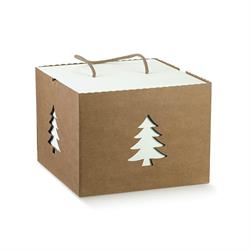 SCAT. CUBO INS. C.CORD. 24,5X24,5X18 AVANA ALBERO