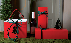 SCAT. CUBO INS. C.CORD. 24,5X24,5X18 ALBERO LINOROSSO