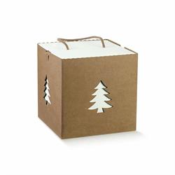 SCAT. CUBO INS. CON CORDINO 21X21X21 AVANA ALBERO