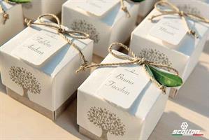 SCAT. FLEUR TAU TORTORA 5X5X5