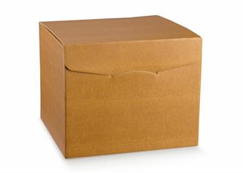 SCAT. SEGRETO SKIN DESER 44x34x37