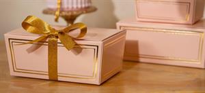 SCAT. BALLOTTIN 103X67X45 ELEGANCE ROSA