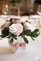 SCAT. CONO SPIRAL CHANTILLY ROSA