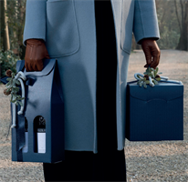 SCAT. SEGRETO C/CORDINO 21X21X21 SPOT BLU