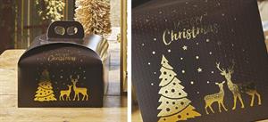 SCAT. SEGRETO C/CORDINO 24,5X24,5X18 MAGIC WINTER