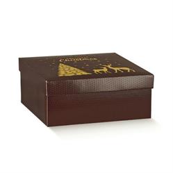 SCAT. FONDO+COP. MAGIC  WINTER 30X30X12