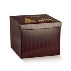 SCAT. FONDO+COP. MAGIC  WINTER 30X30X24