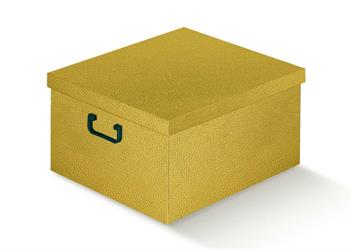 SCAT. TUTTO A POSTO EASY SKIN ORO 47X42X21