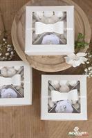 SCAT. FONDO+COP. TRASP. C/INS. P.BIANCA 10X10X4