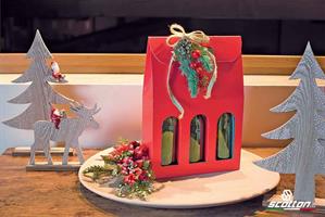 SCAT. 3 BOTTIGLIE PELLE ROSSA 27X9X38