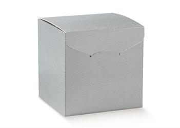 SCAT. SEGRETO 30X30X24  SKIN ARGENTO