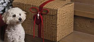 SCAT. SEGRETO CON CORDINO 24,5X24X5X18 WORDS