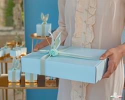 SCAT. FOOD LINO AZZURRO 31X25,5X65