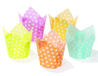 PIROTTINI TULIP DIAM. 50 PZ.120 POIS FUXIA