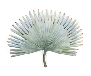 DECORO PARETE FOGLIA ESOTIK CM.91