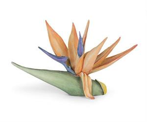 DECORO STERLIZIA ESOTIK CM.32