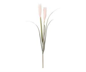 RAMO CON 2 FESTUCA ROSA/SALVIA H.95