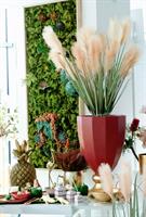 RAMO CON 2 FESTUCA ROSA/SALVIA H.95