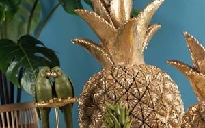 ANANAS MAGNESIA GOLD H. 32