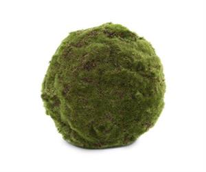 SFERA MUSCHIO DI CASTAGNO DIAM.220