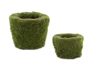 VASO TONDO MUSCHIO DI CASTAGNO D.24