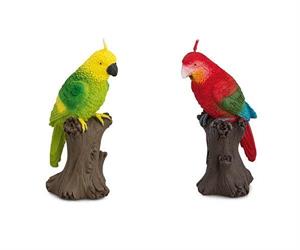 CANDELA PAPPAGALLO GREEN H.15