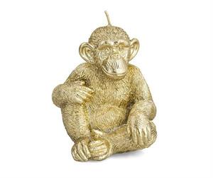 CANDELA SCIMMIA GOLD H.11