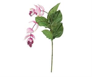 RAMO ESOTIK MIDINELLA CADENTE H.100