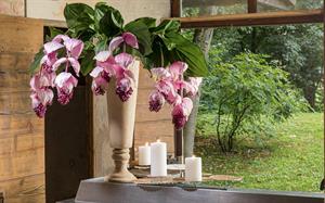 RAMO ESOTIK MIDINELLA CADENTE H.100