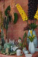 PAPPAGALLO SU BASE GOLD H.45