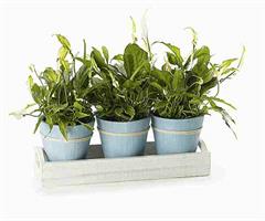 CASSETTA LEGNO CON VASI AZZURRI