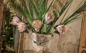 RAMO GRAMINACEA X 2 H.110