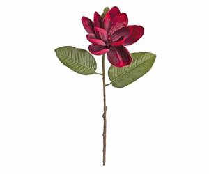 RAMO MAGNOLIA BORDEAUX  CM.65