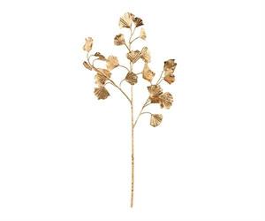 RAMO GINKGO BILOBA ORO  CM.65