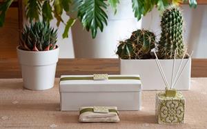 DIFFUSORE H.70 SALVIA C. SCATOLA