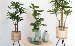 RAMO FOGLIA ESOTIC H.46