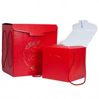 SCAT. SEGRETO C.CORD. ROSSO MERRY CH.330X250X35