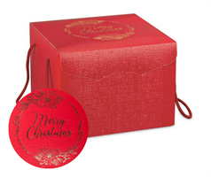 SCAT. SEGRETO C.CORD. ROSSO MERRY CH.330X250X35