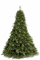 ALBERO N. PANDORA PVC+PE CM.210