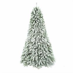 ALBERO N. SNOWY HILL    CM.210