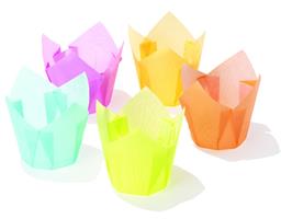 PIROTTINI TULIP DIAM.50 PZ.30 CIRCA COLORATI ASS.
