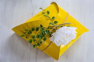 SCATOLA COLOMBA GALA GR.750 GIALLO