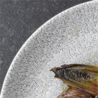 PIATTO CH. PRINTS RAKU  PIANO D.21 GRIGIO   ###