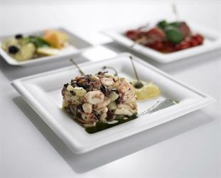 PIATTO CARTONCINO BIO   QUADRO CM.16X16X1,5 PZ.50 TAKEAWAY