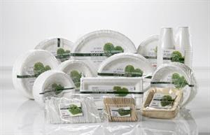 PIATTO CARTONCINO BIO   QUADRO CM.16X16X1,5 PZ.50 TAKEAWAY