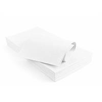 TOVAGLIA TNT  100X100   BIANCA